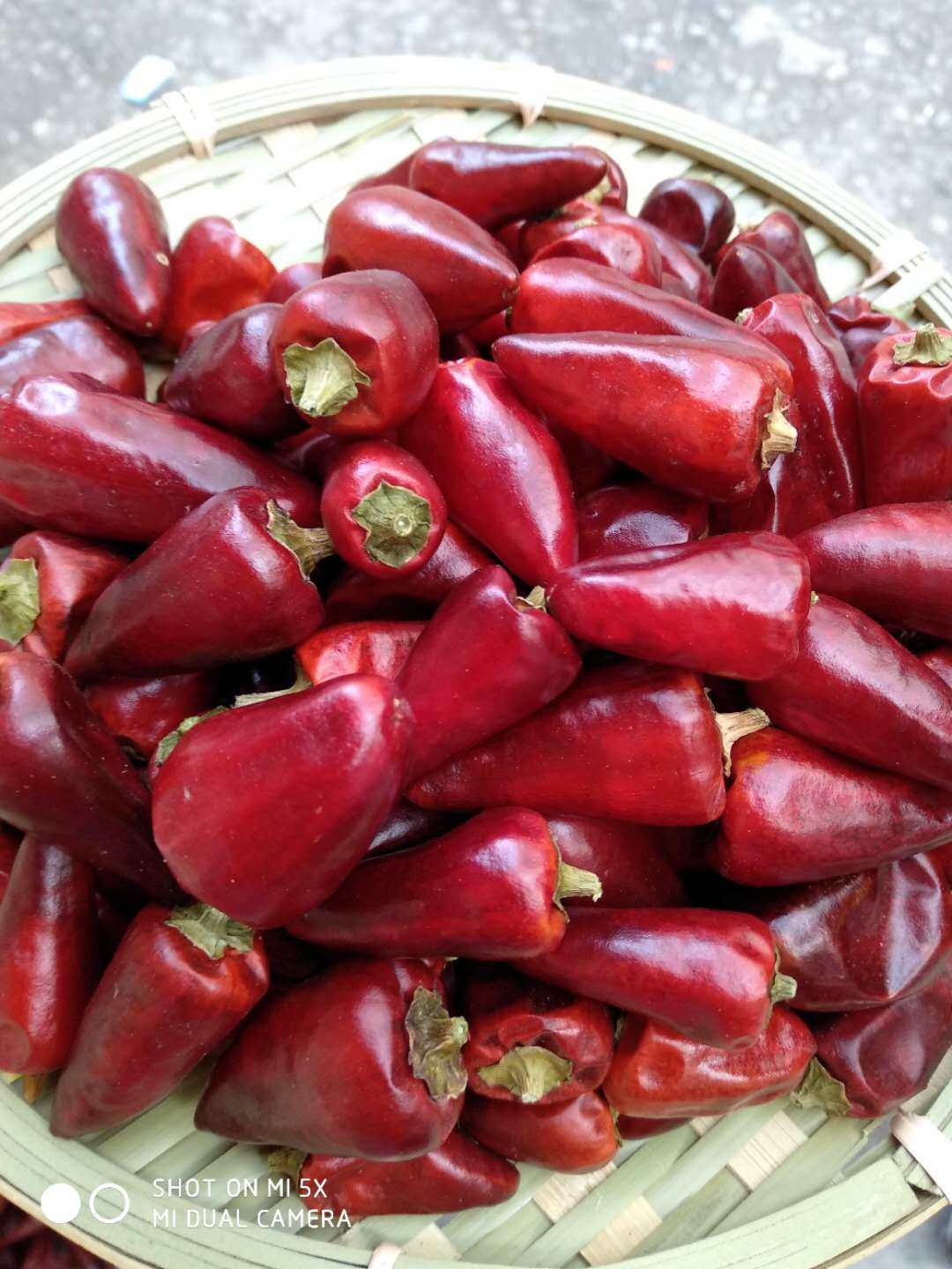 辣椒贵州子弹头遵义大红红袍灯笼中辣特香朝天辣椒粉料