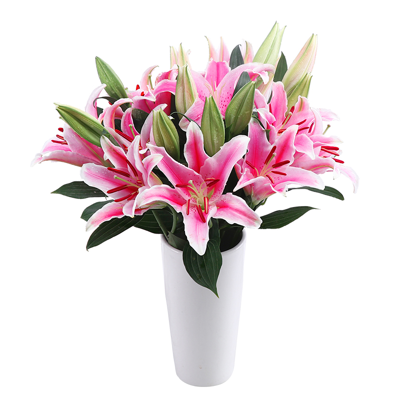 云南昆明新鲜百合花插花包邮直一扎速递同城家庭鲜花速递同城