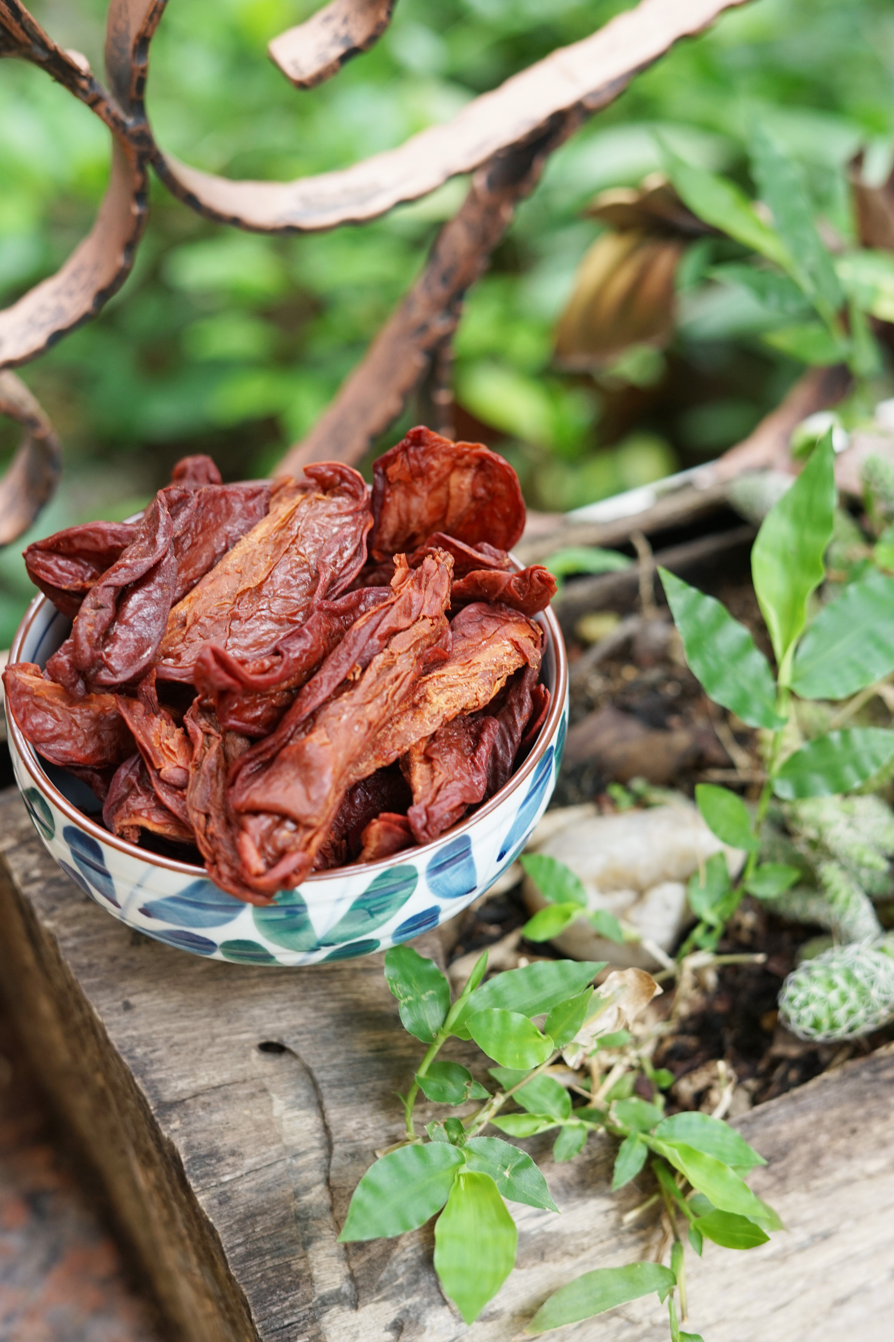 杨桃干甜三念酒楼做菜餐前小吃开胃孕妇腌制桃干