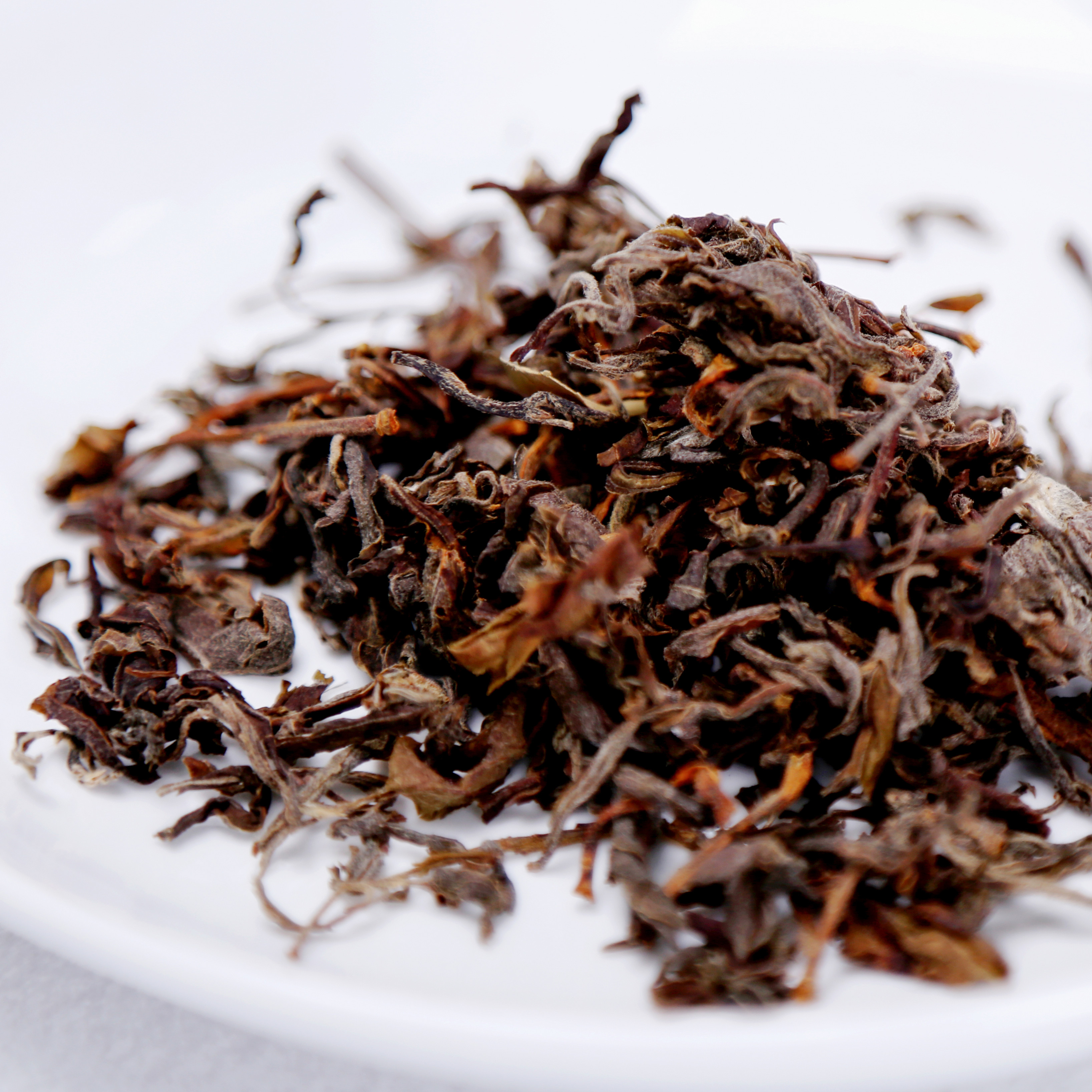 重庆巫溪正宗百年野生老鹰茶叶老荫茶农农家其它红茶