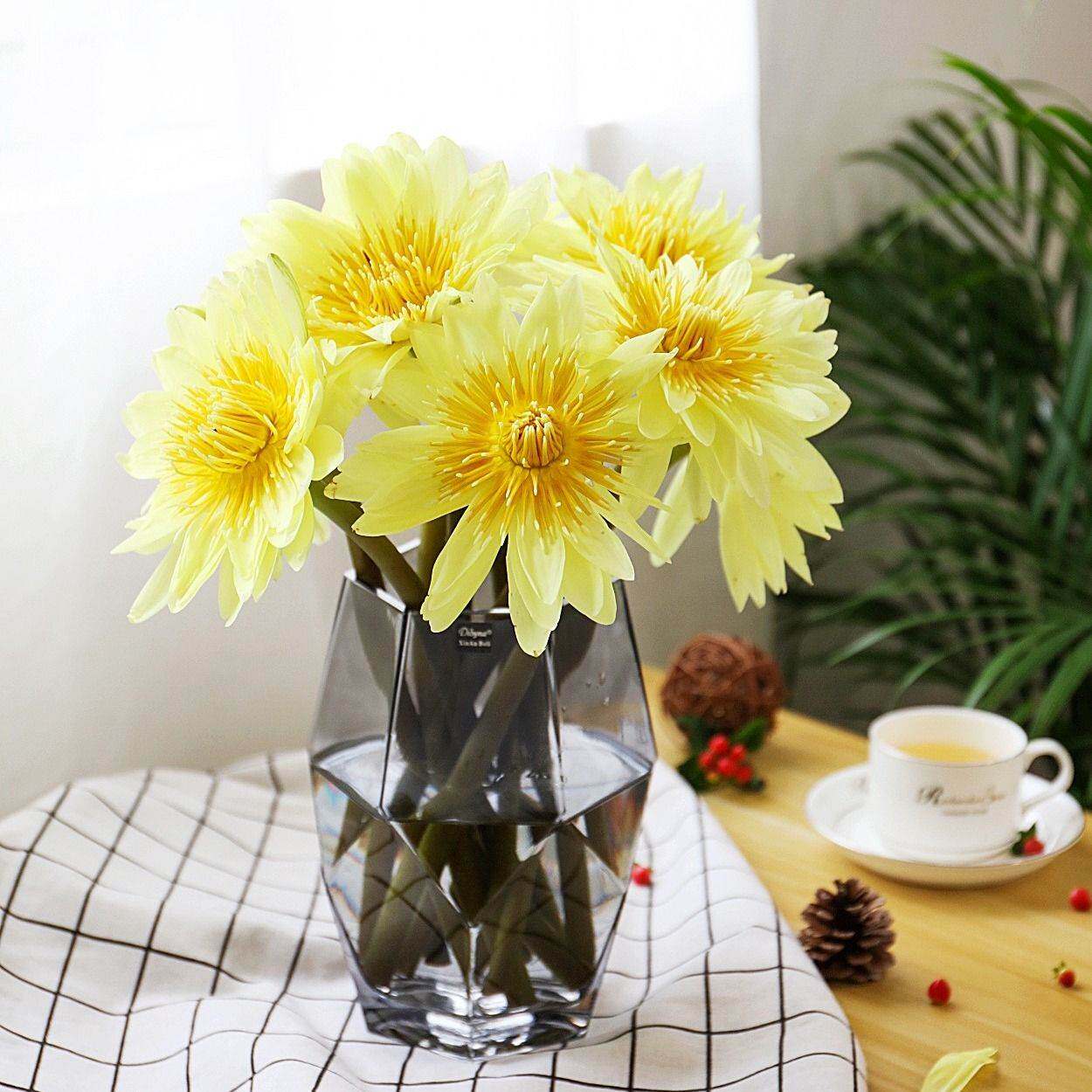 鲜花花里家睡莲家居装饰鲜花速递包月花束同城鲜花速递同城