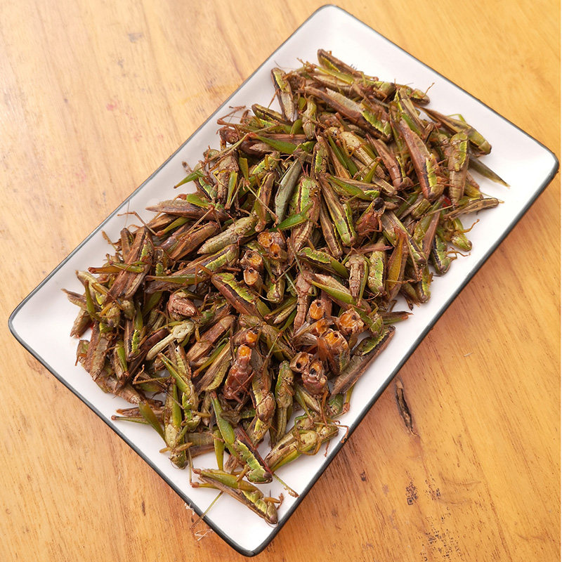 2019新鲜小蚂蚱稻蝗虫油蚂蚱活体速冻钓鱼宠物油炸炒甩卖包邮生鲜