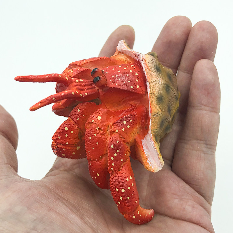 寄居宠物手办模型草莓蟹非活物摆件装饰蟹
