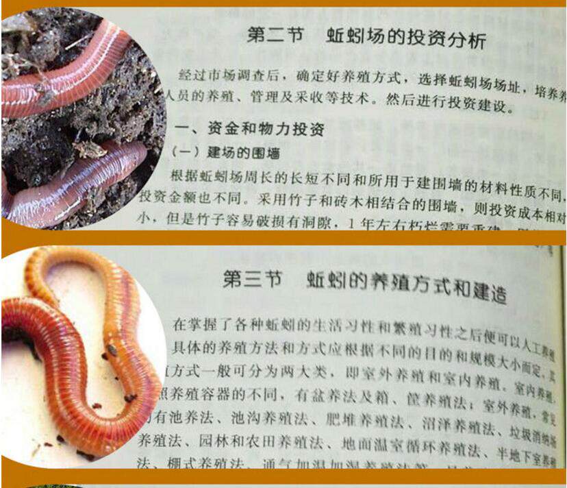 蚯蚓养殖技术怎样地龙书籍养殖场办好科学一本通高效畜牧
