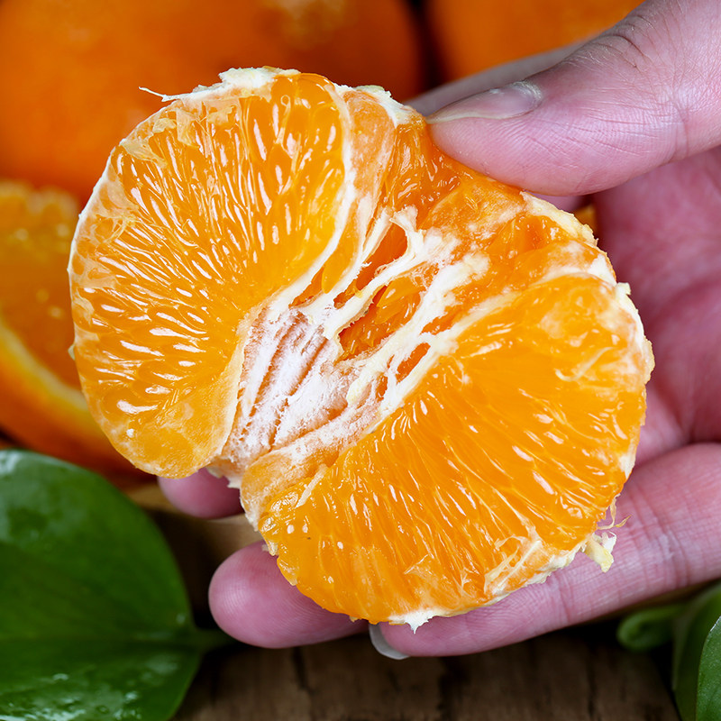 四川青见柑橘桔子9斤整箱当季水果现摘现发桔子