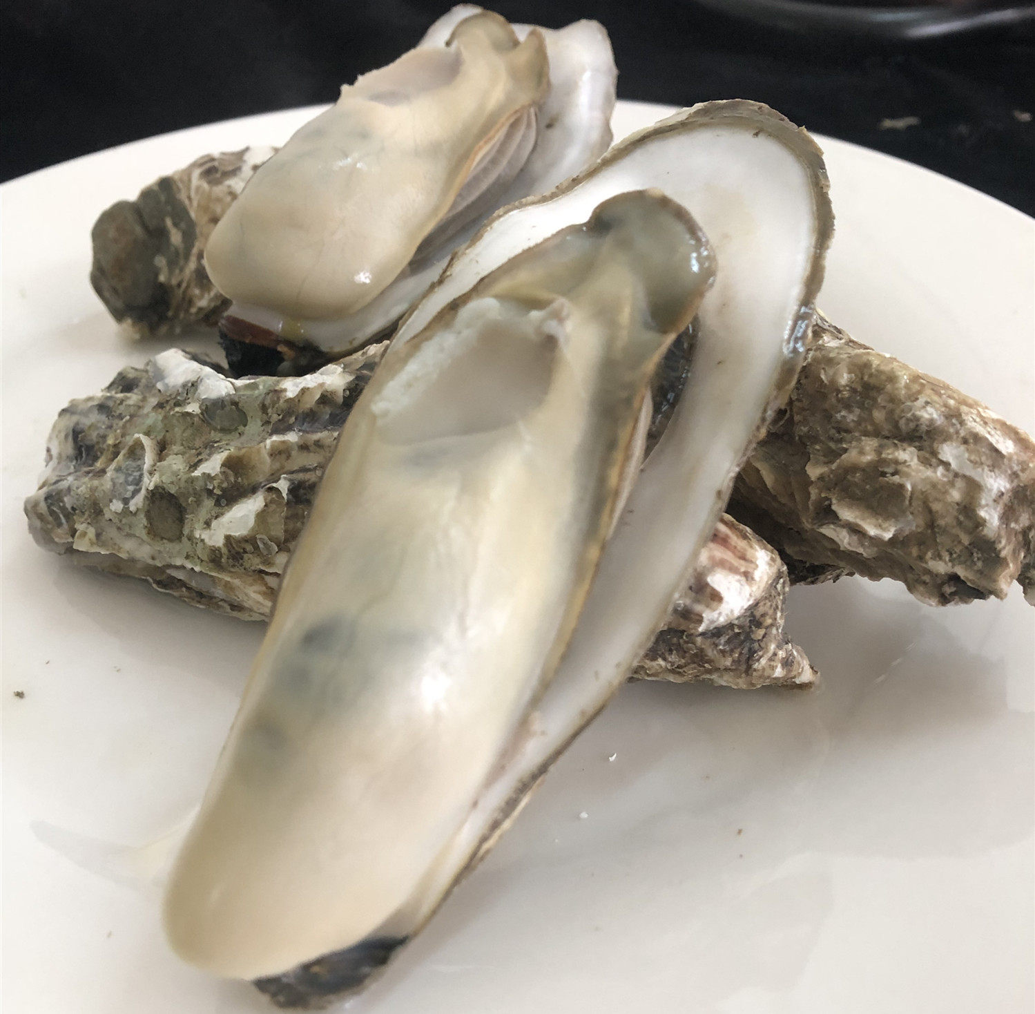 鲜活大生蚝海鲜水产蚝鼓带壳牡蛎海捕野生海蛎子补锌烧烤贝类包邮