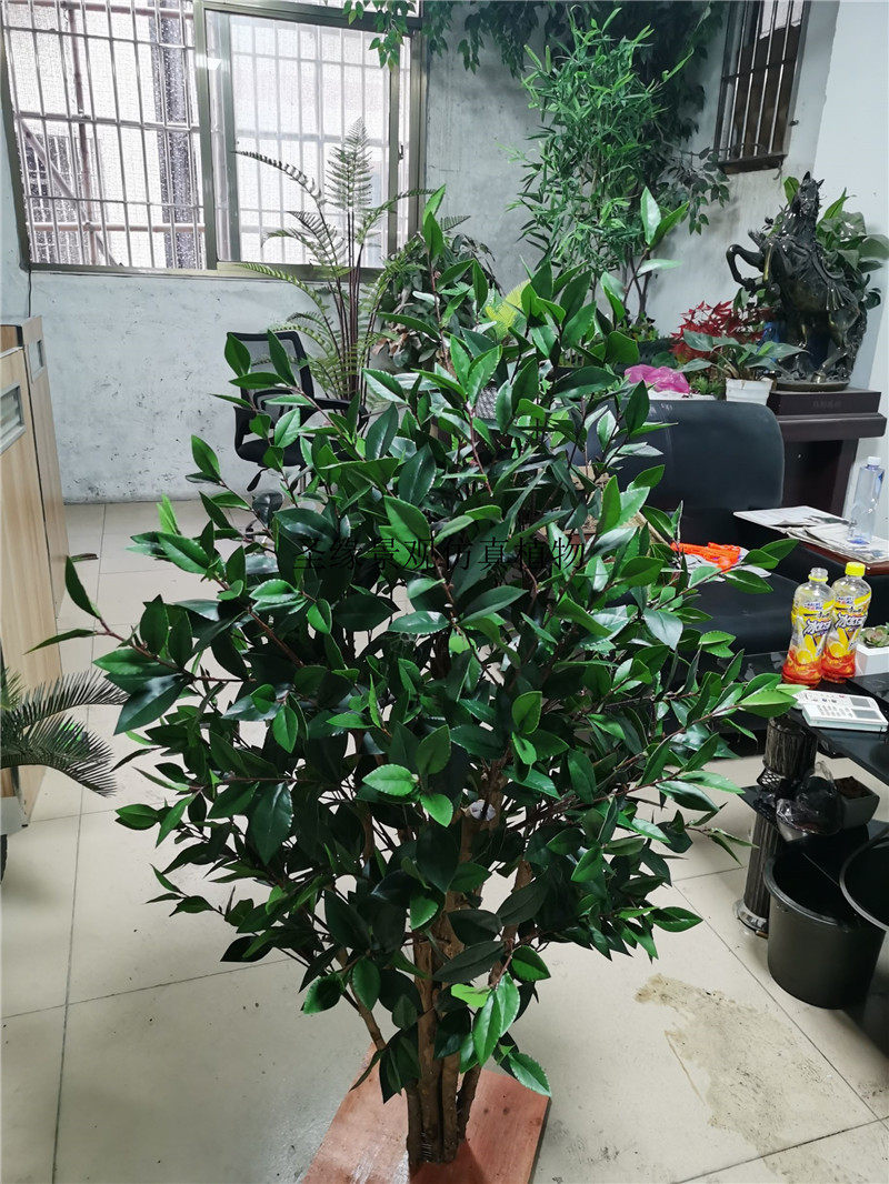 仿真海桐七里香山瑞香山宝珠田园绿植庭院广场仿真绿植