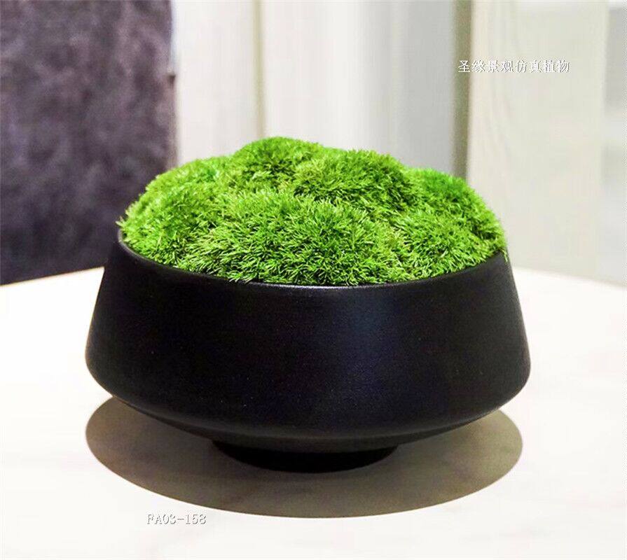 苔藓青苔绿植植物景观水陆草坪园林庭院铺面仿真绿植