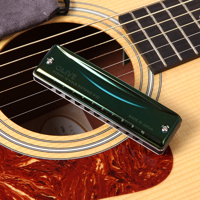 suzuki铃木c-20十孔10孔布鲁斯蓝调口琴c20日本原装进口演奏级