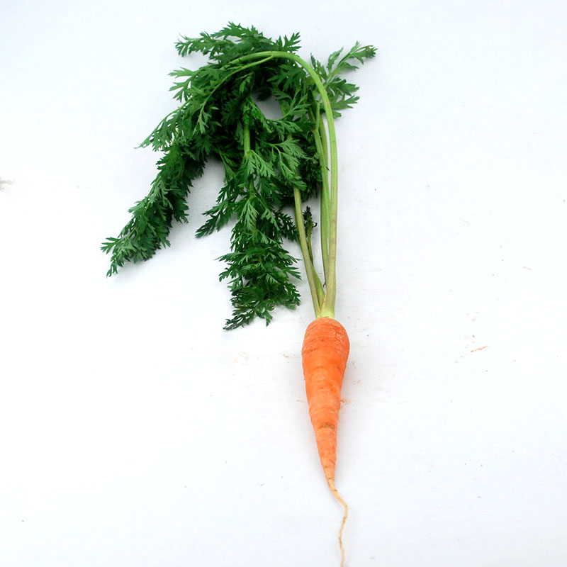 胡萝卜新鲜带叶手指小胡3斤20斤包邮迷你产地其它