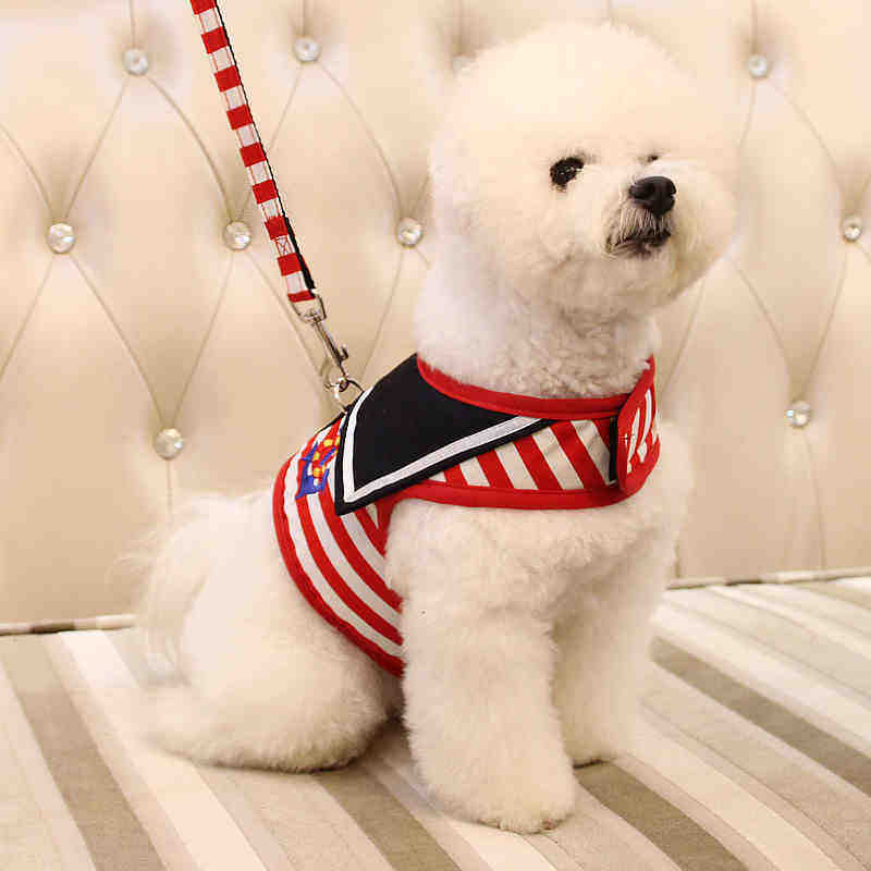 牵引哈格泰迪贵宾绳子带狗链子小型宠物背带狗牵引绳