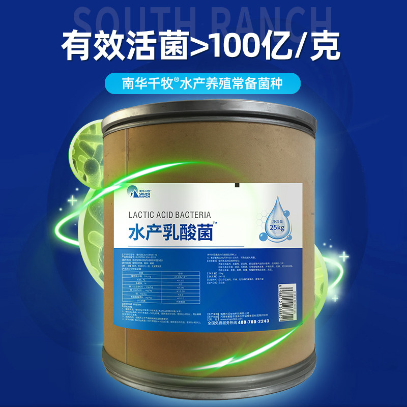 25kg大桶装水产用高活乳酸菌原粉种鱼虾蟹塘常备微生物菌种乳杆菌