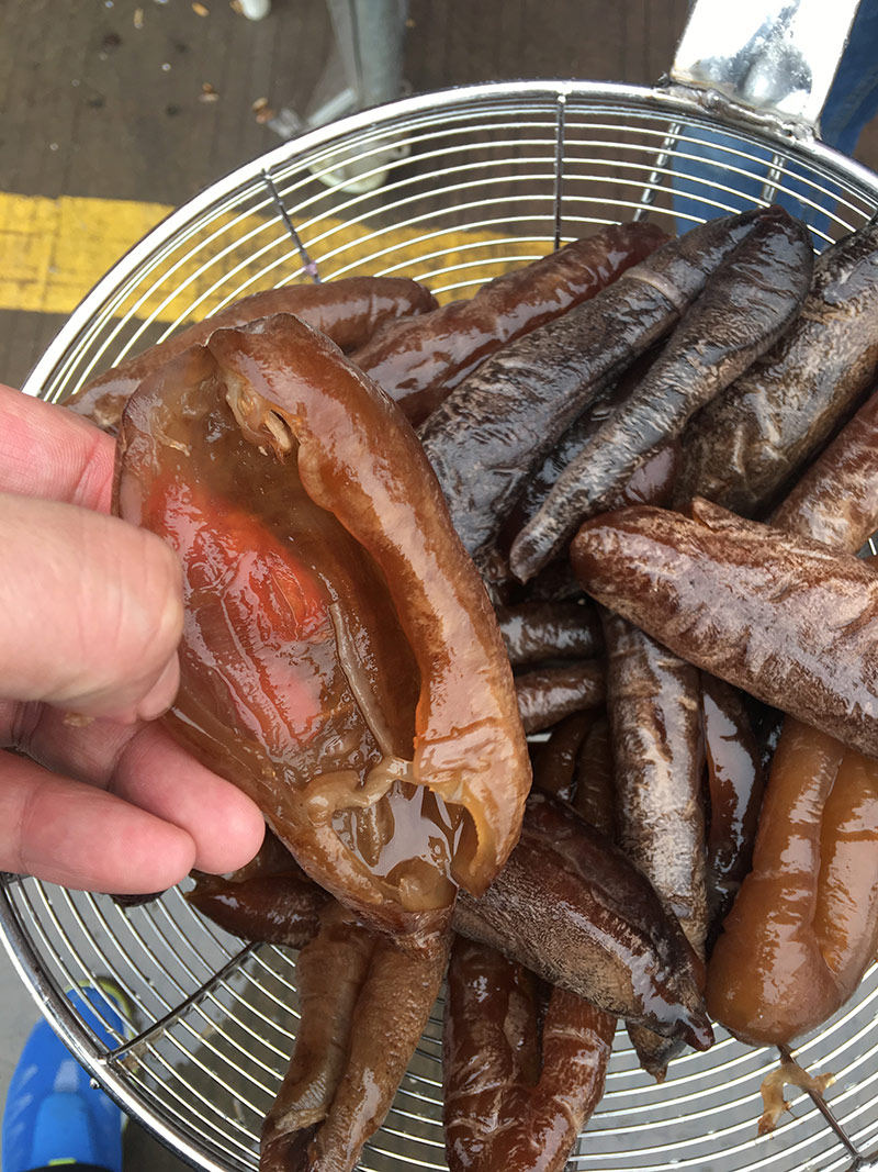 新鲜水发茄参海参大乌火锅自助餐专用10斤装酒店海参