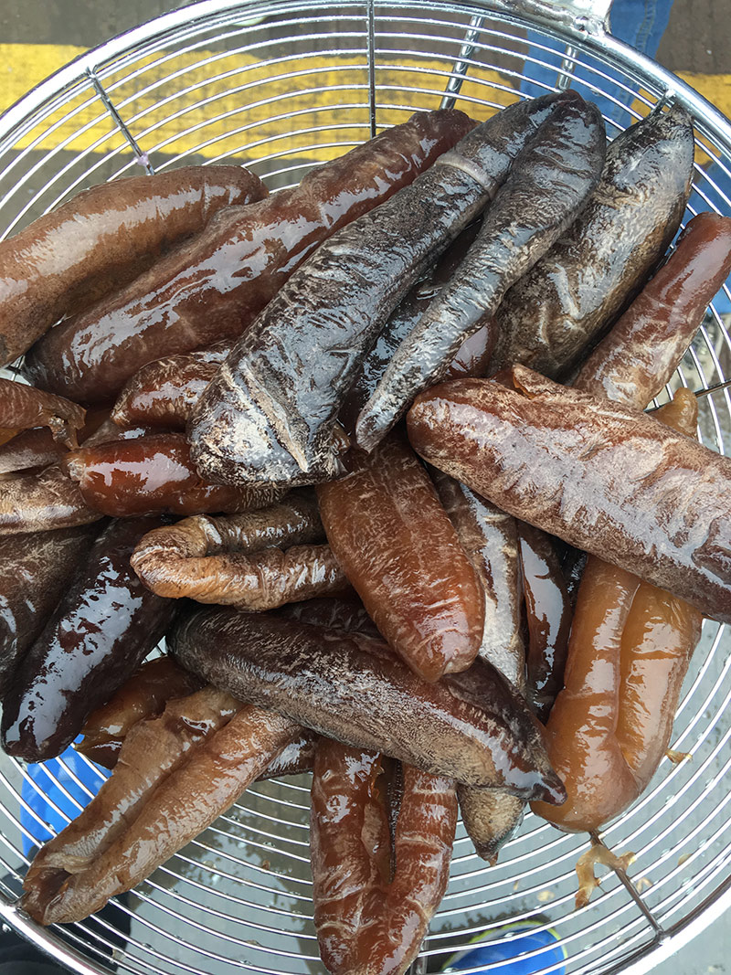 新鲜水发茄参海参大乌火锅自助餐专用10斤装酒店海参