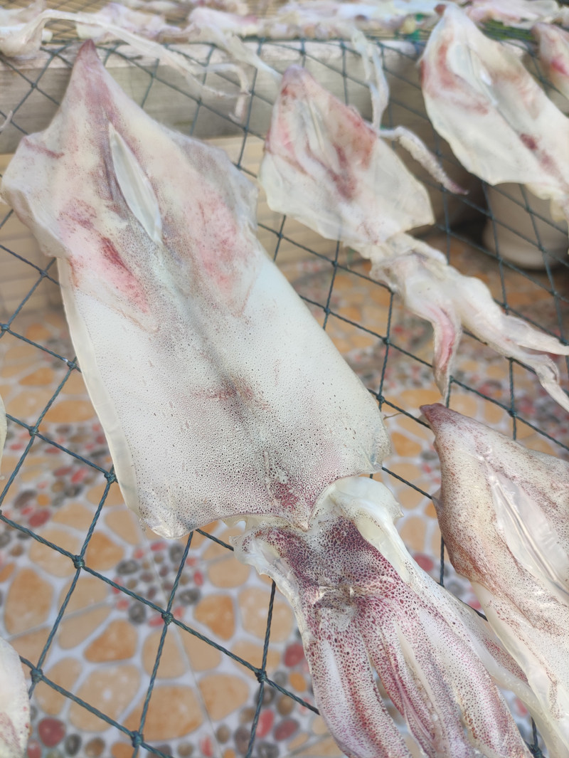鱿鱼南澳特产干货新鲜500g即食碳烤散装渔民鱿鱼干