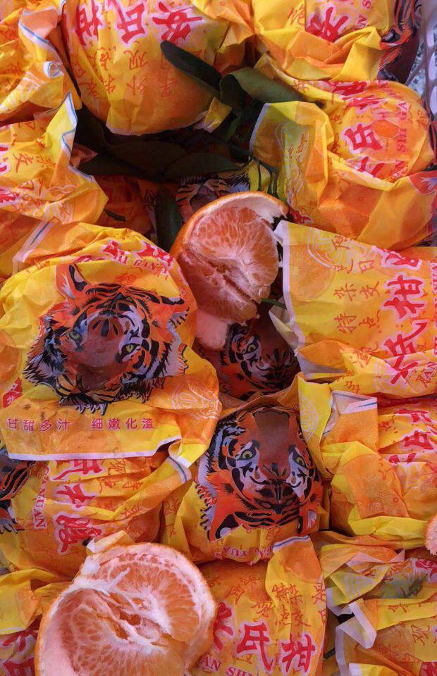 虎头橘子安氏柑媛粑粑不知火甜口丑柑桔子10斤桔子