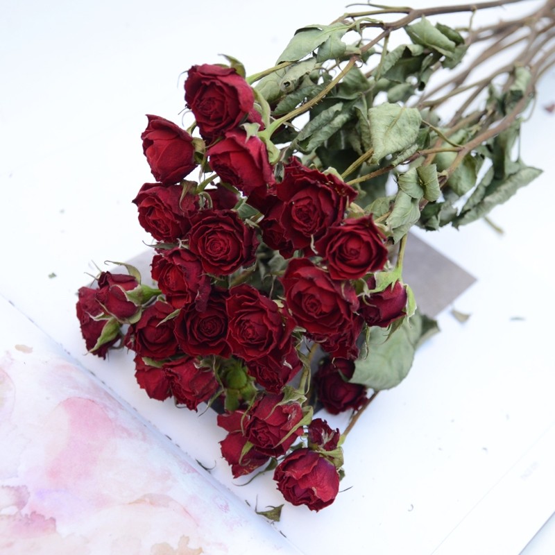 玫瑰干花天然干花真花多头真花风干花束家居装饰摆件蔷薇花干花