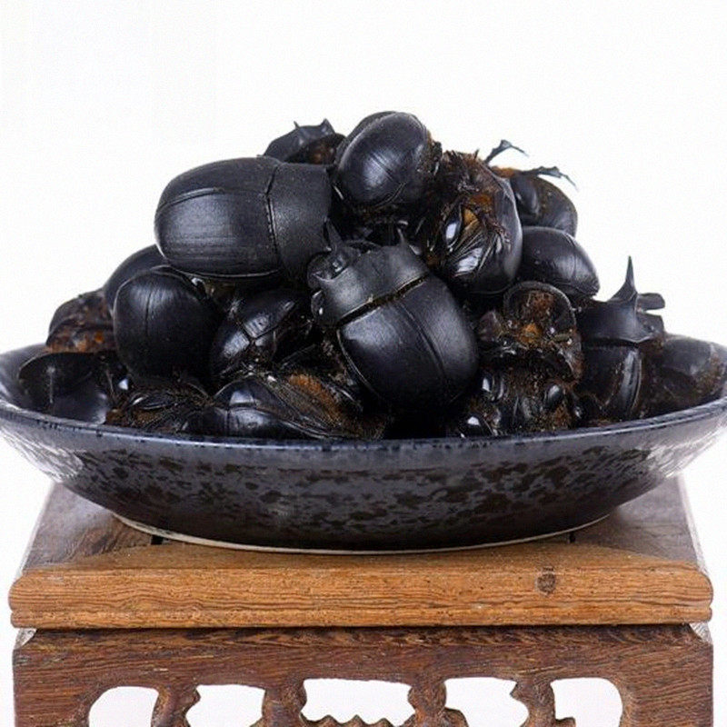 中药材屎壳清水无盐大将军蜣螂推粪兜虫250g包邮其他药食同源食品