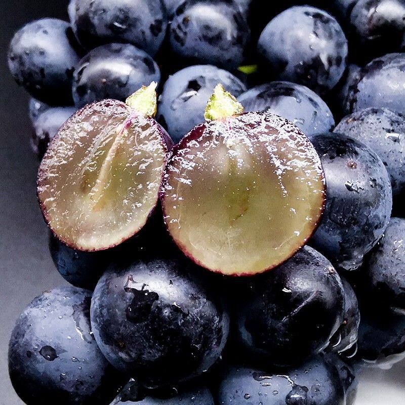 葡萄云南建水黑葡萄无籽新鲜当季整箱巨峰孕妇葡萄