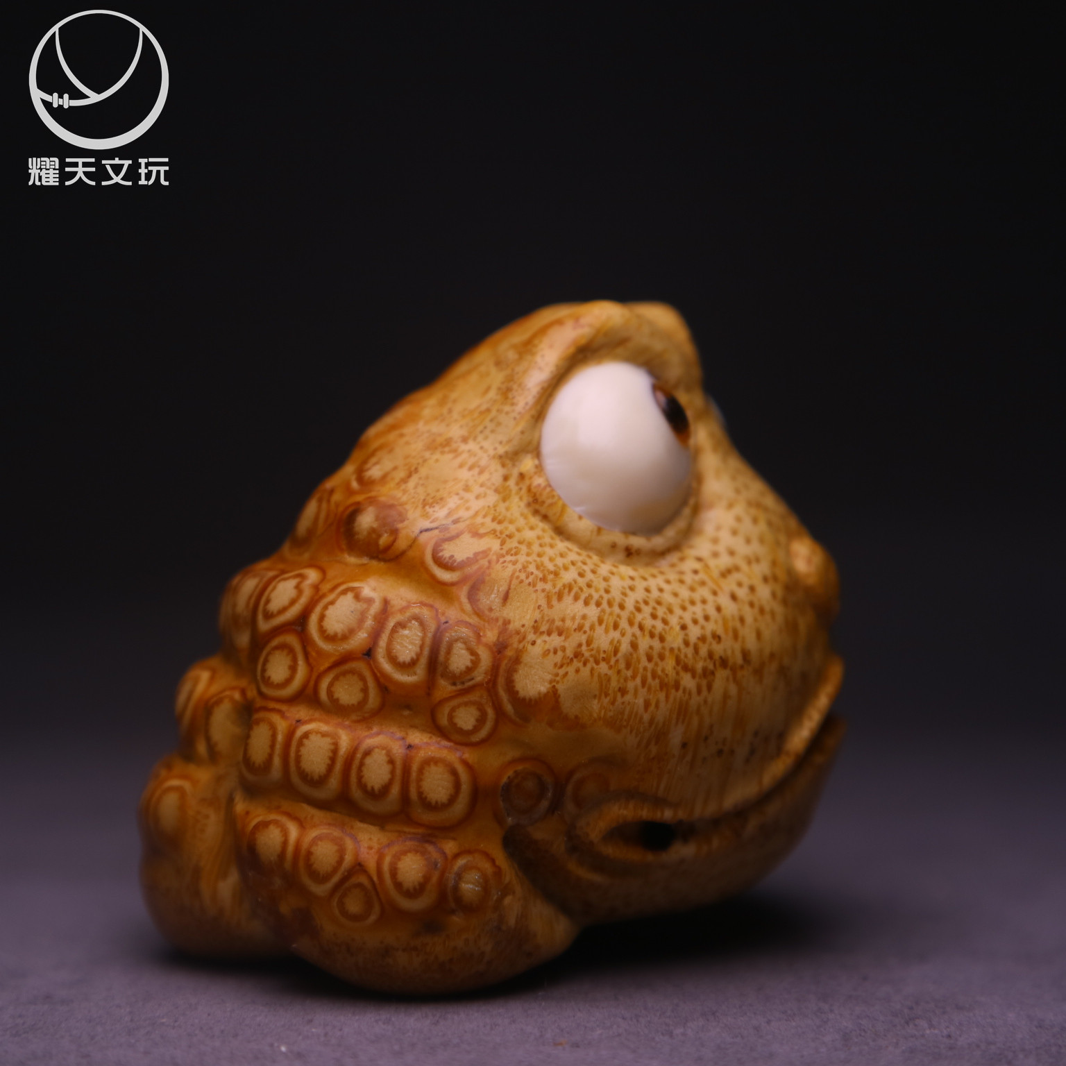 耀天文玩实心玉竹玉化老料根雕金蟾蛤蟆蟾蜍摆件