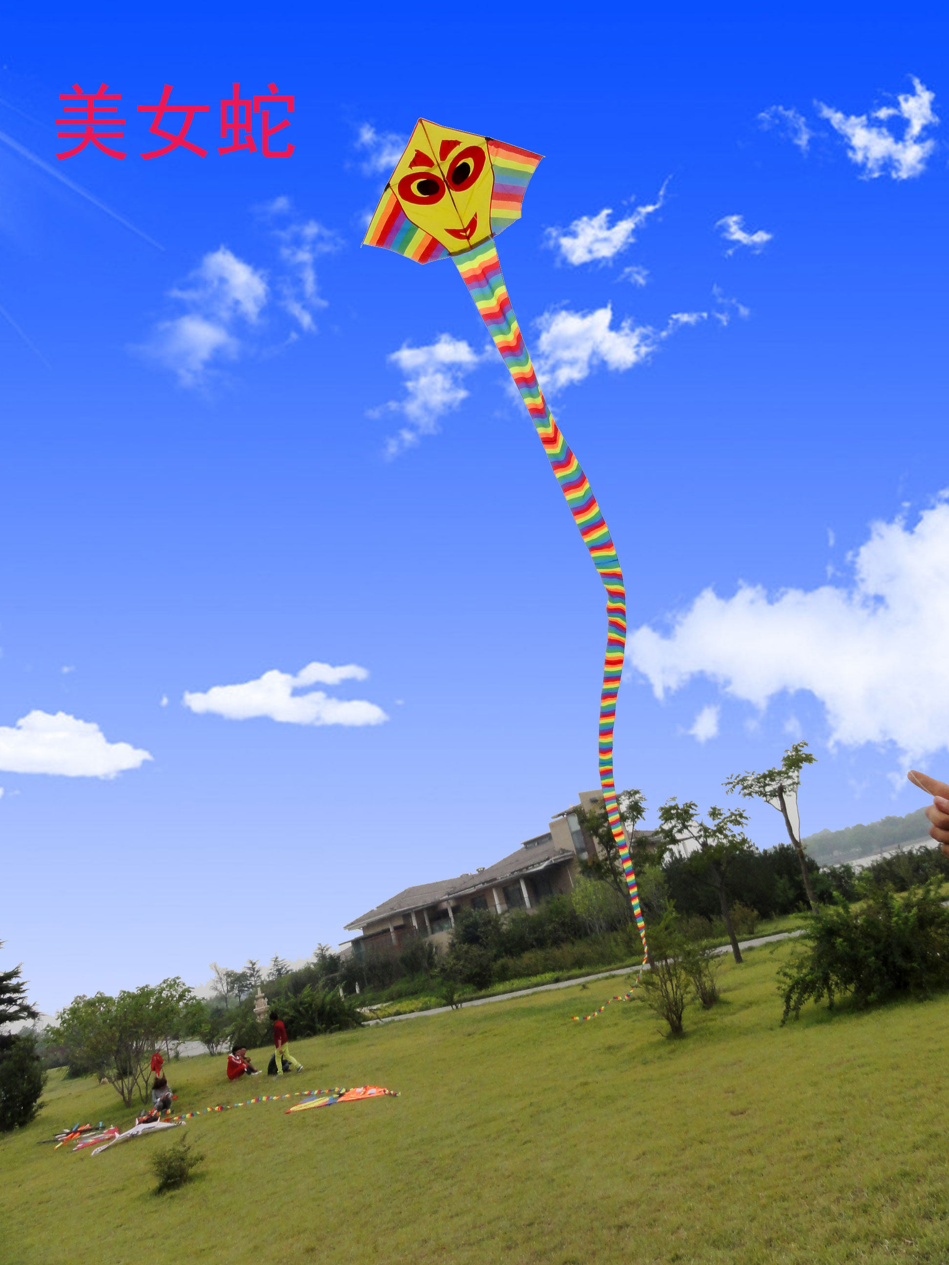 潍坊恒鸢儿童新款高档轴轮风筝