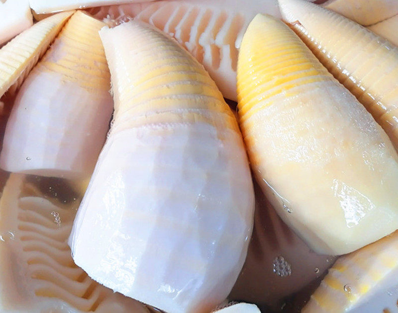 新鲜玉兰笋嫩火锅赤水水煮冬笋楠竹春笋12斤笋类制品