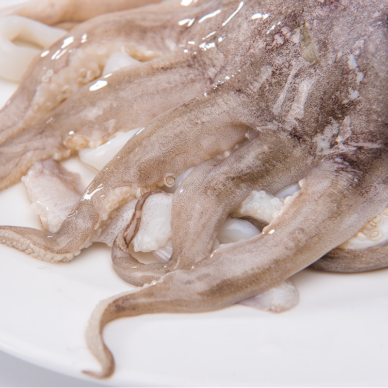 墨鱼鲜活海鲜水产新鲜超大墨鱼仔墨斗鱼八爪鱼章鱼活体整只大乌贼