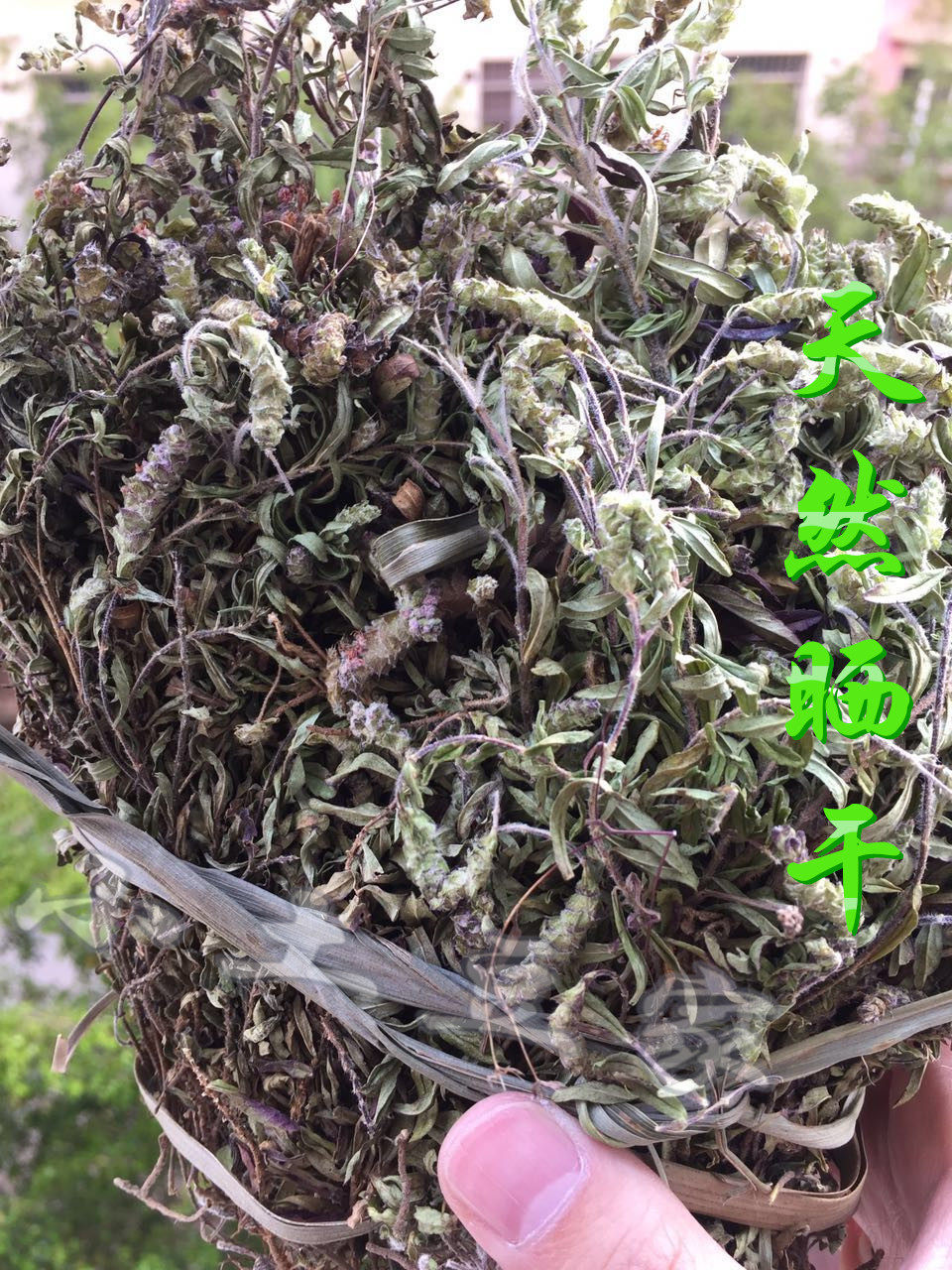 野生花草茶云南特产茶叶野生小山茶东紫苏梭罗茶烧烤凉茶散装300g