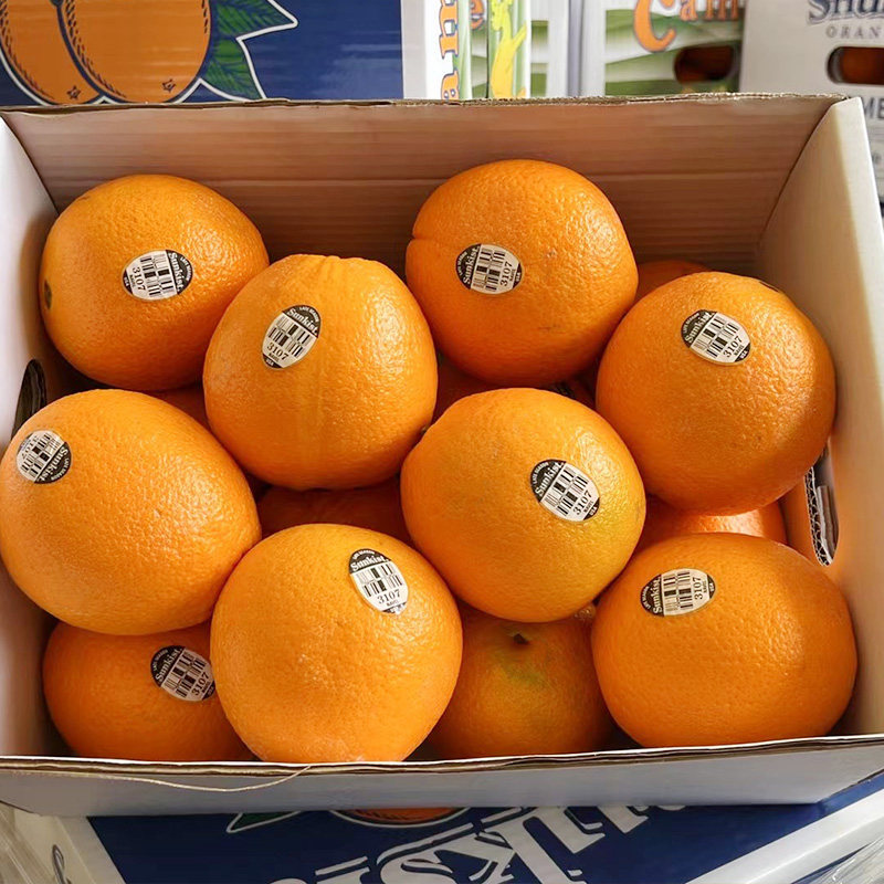 礼盒盒装顺丰包邮澳洲新奇士甜橙3107黑标橙子橙