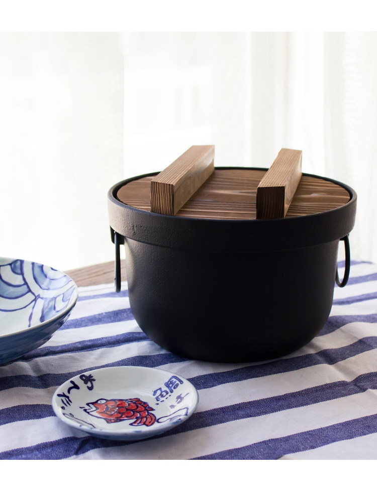 铸铁日本进口南部铁器饭釜ins抖音煲仔饭锅炖肉炖锅