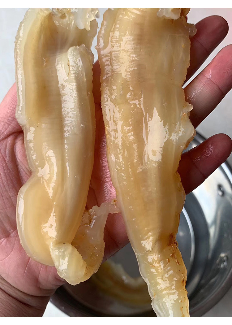 50头北海巴西双背鱼胶花胶干货正品深海野生花胶