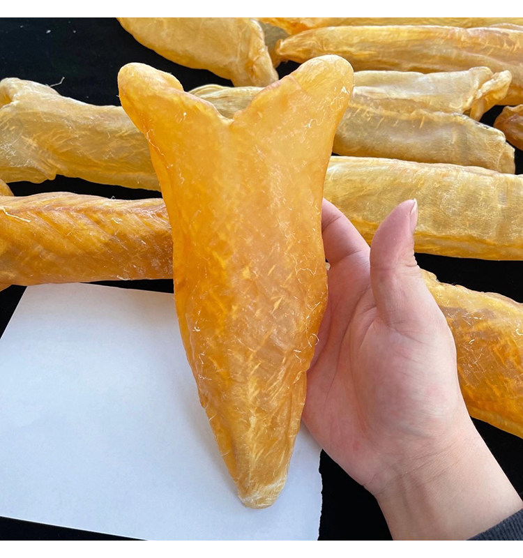 3头特大号天然黄花鱼胶大花胶筒正品鱼肚干货花胶