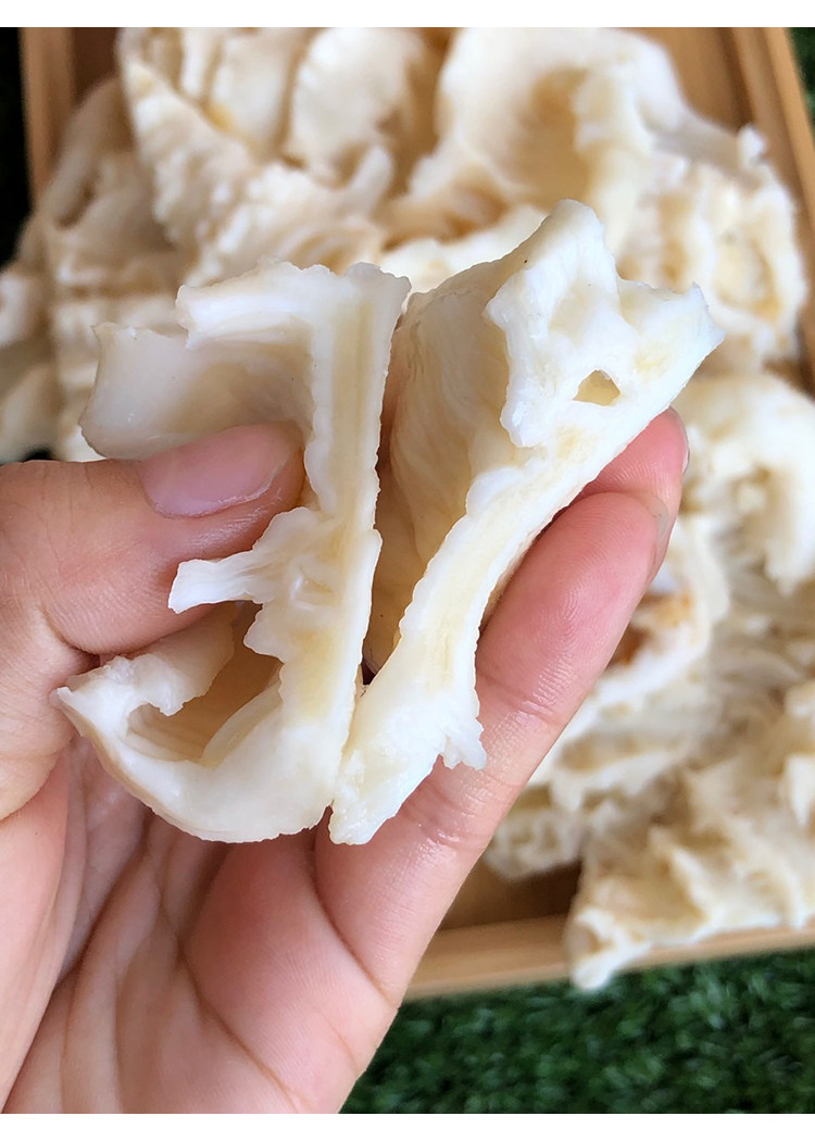 印尼1520头石斑赤鱼胶花胶深海干货野生正品品花花胶