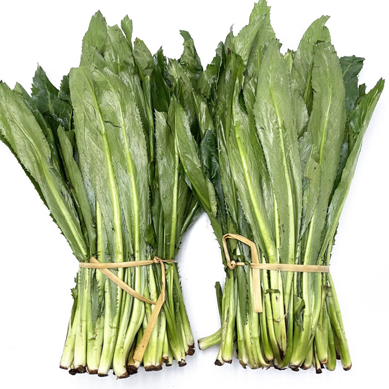 香菜刺芫云南农家新鲜芫荽荽缅泰国刺芹傣味其它