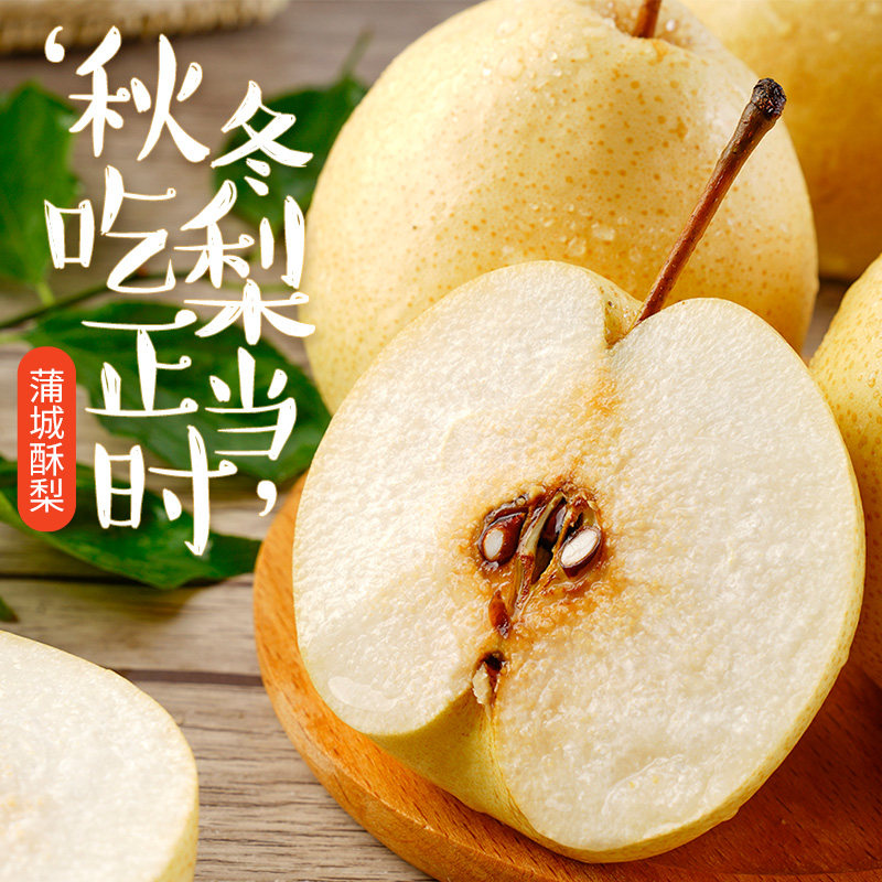 水果陕西蒲城酥梨6斤新鲜黄皮冰糖梨