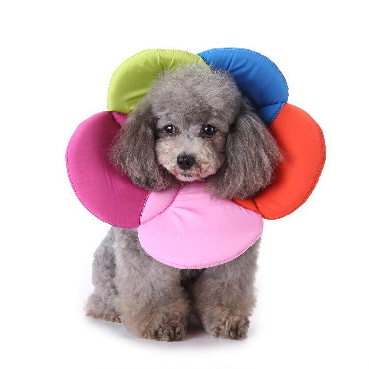 petprotectioncollar宠物保护脖套狗狗奶牛花朵项圈宠物服装