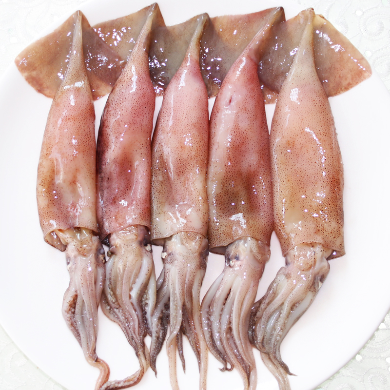 速冻籽乌火锅饭店食材酒店海鲜乌鱼带籽鱿鱼深海野生海产笔管柔鱼