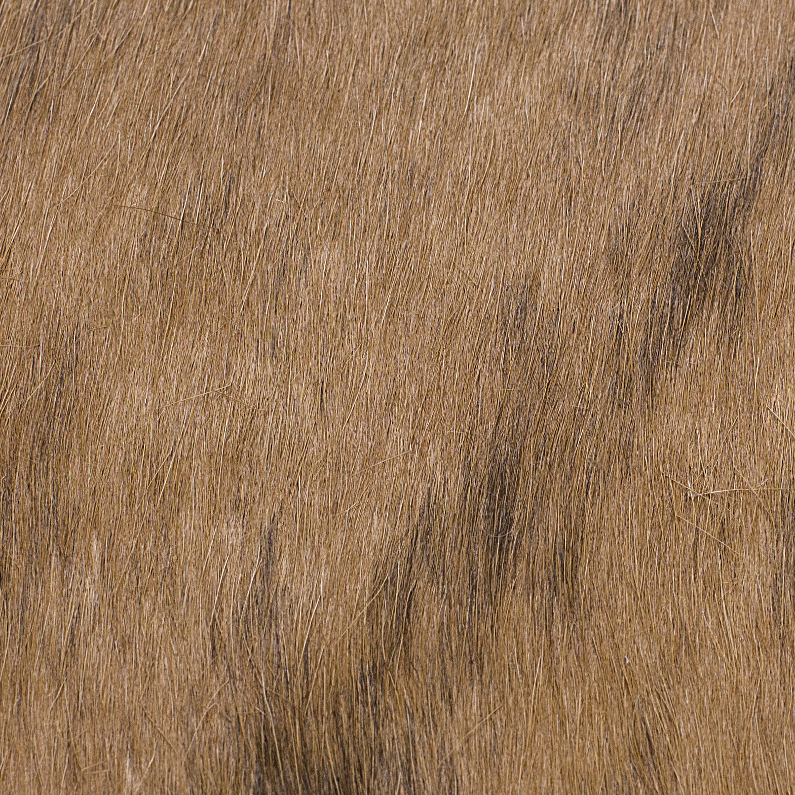 巴西进口整张牛皮地毯马毛地垫书房真皮毛垫子轻奢奶牛皮客厅皮草