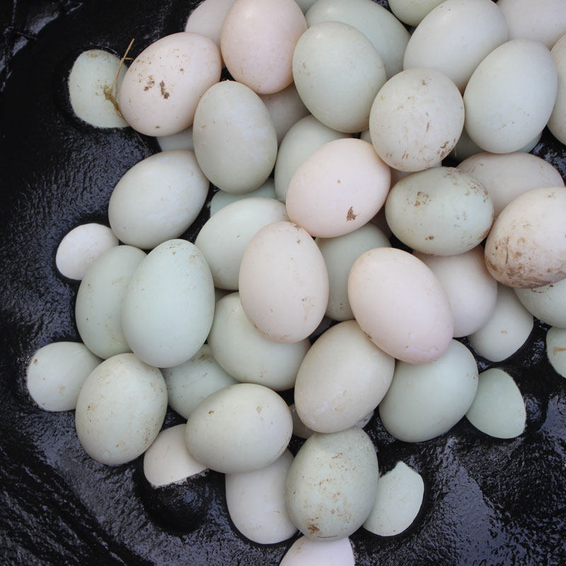 新鲜咸海鸭蛋生咸鸭蛋蛋黄酥馅料鸭蛋黄农家草木灰腌制25枚起包邮-图2