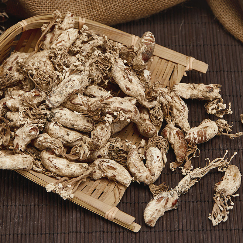 蝉花2022新货野生金蝉花竹金蚕花冬虫夏草替代品500手金蝉花