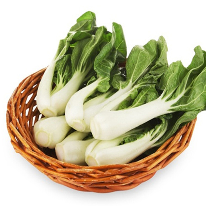 菜种矮脚杂交小白菜菜蔬青菜秋季梗矮桩大田白菜种家庭园艺种子