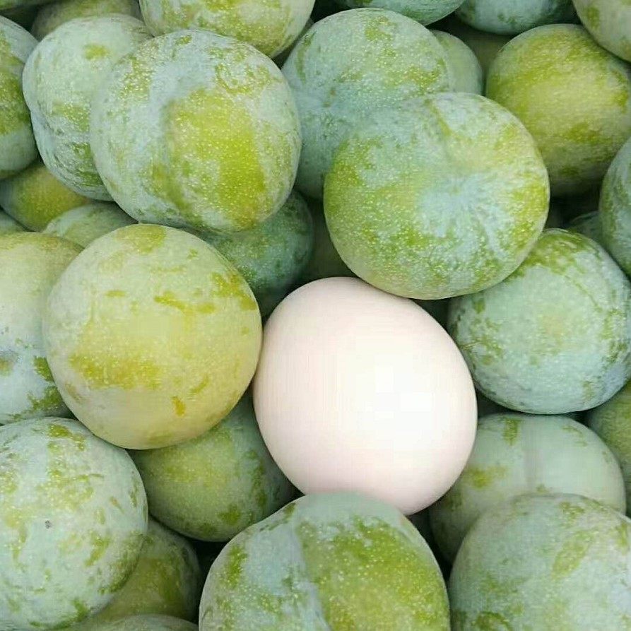 特级果带盒5斤巫山曲尺脆李新鲜原产地现摘盒装李子