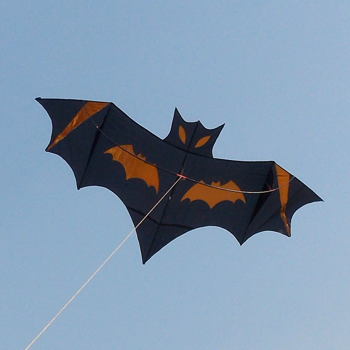 风筝潍坊春鸢新款大型成人儿童现代撑杆蝙蝠风筝
