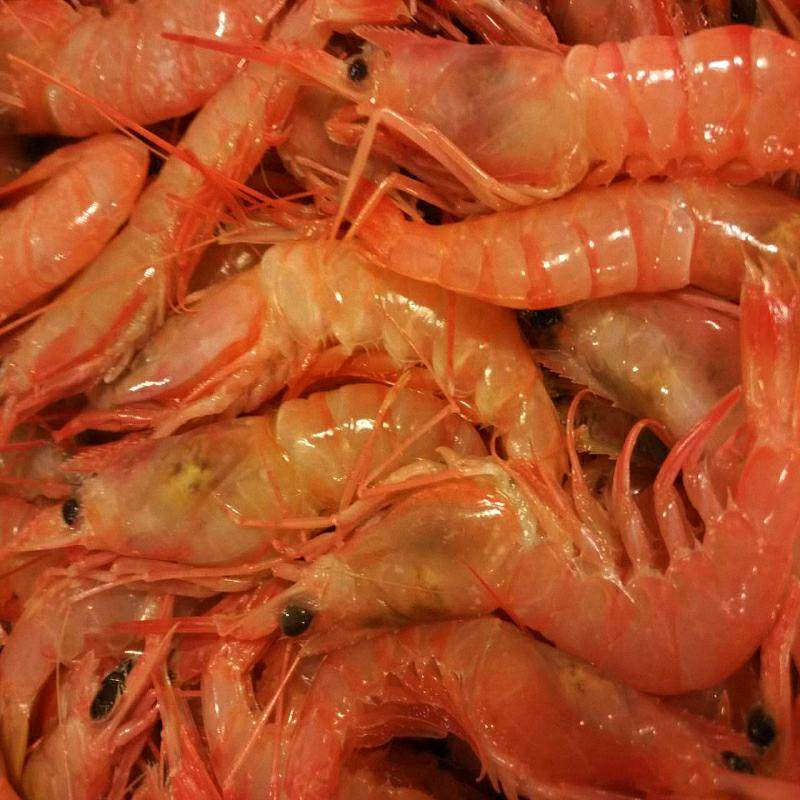 庆丰东海野生鲜活红落头无头海虾红虾活冻对虾冻虾