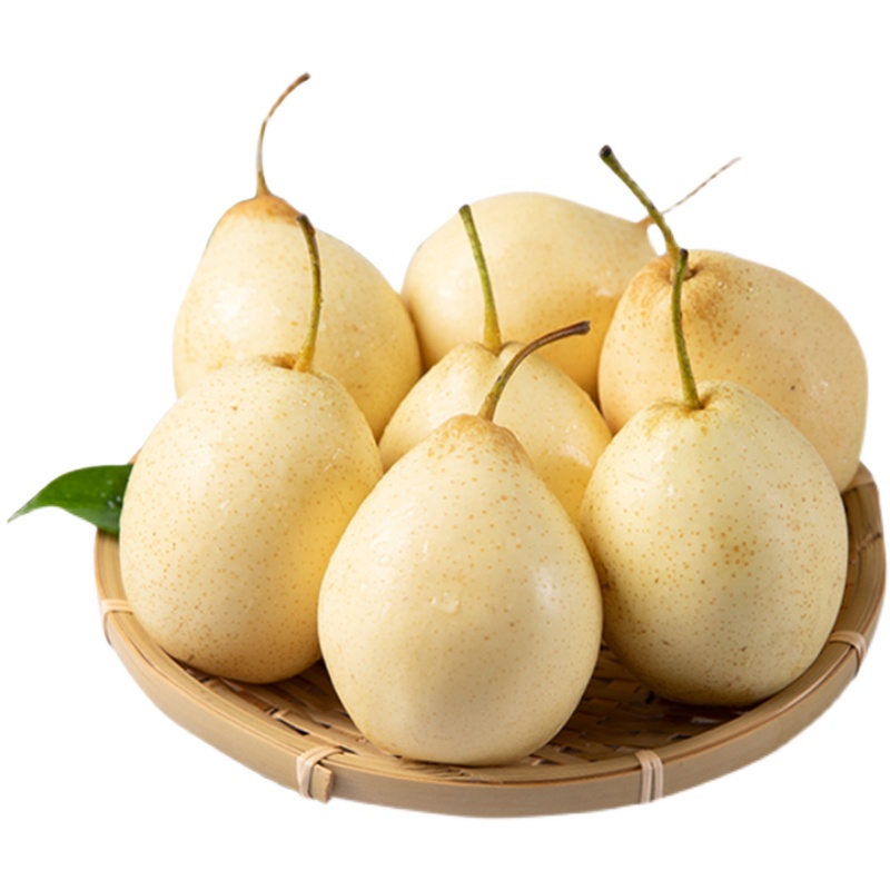 现摘新鲜梨子水果河北鸭梨10斤大果当季水晶梨