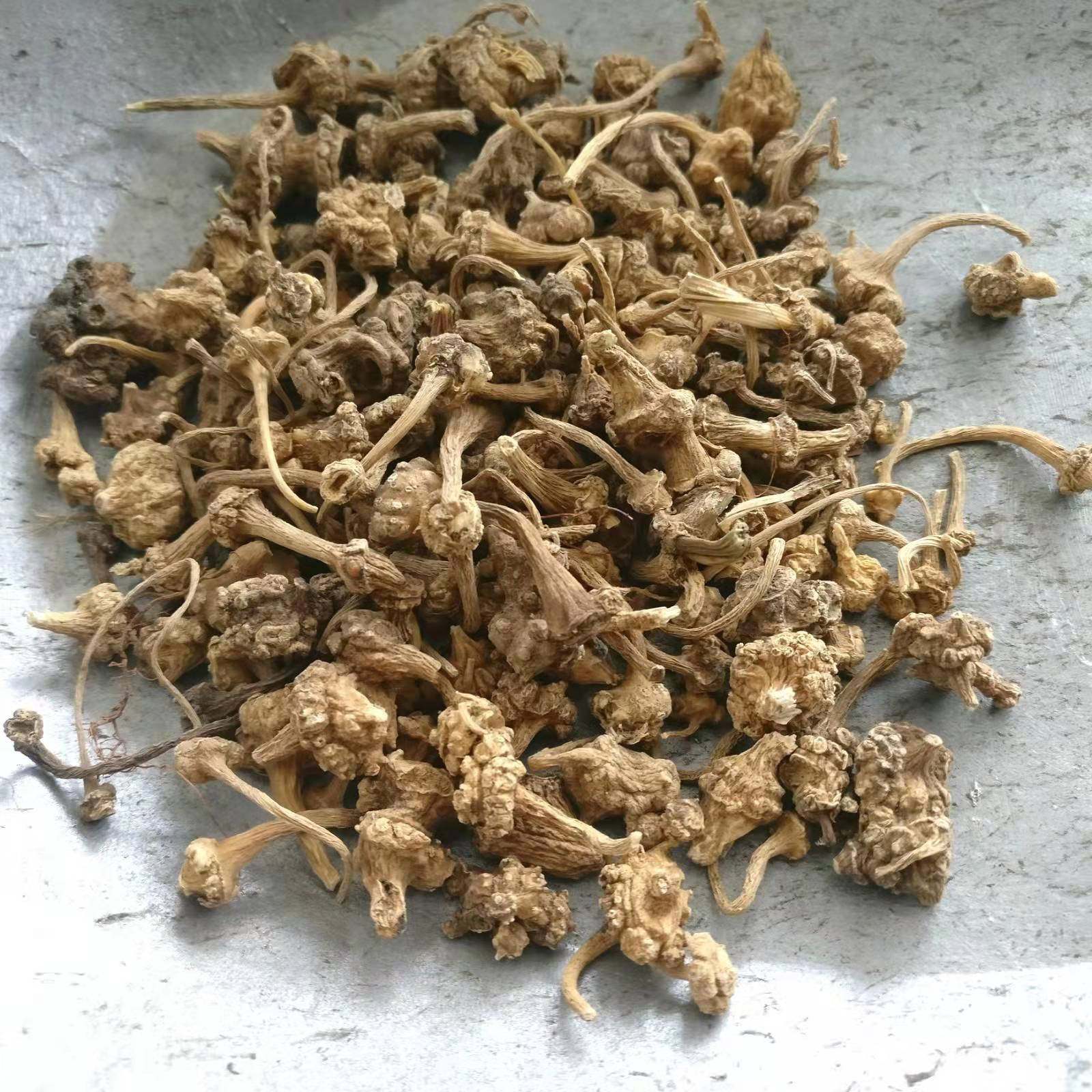 七枝灵野生扣子七钮纽子珠儿参珠子参中药材七张志至顺疙瘩七100g