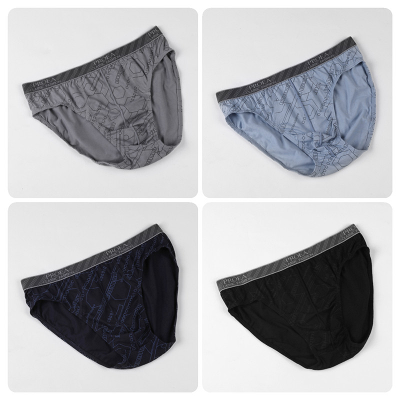 正品宝路易男士内裤纯棉三角裤一盒2条男生舒适抗菌男三角内裤