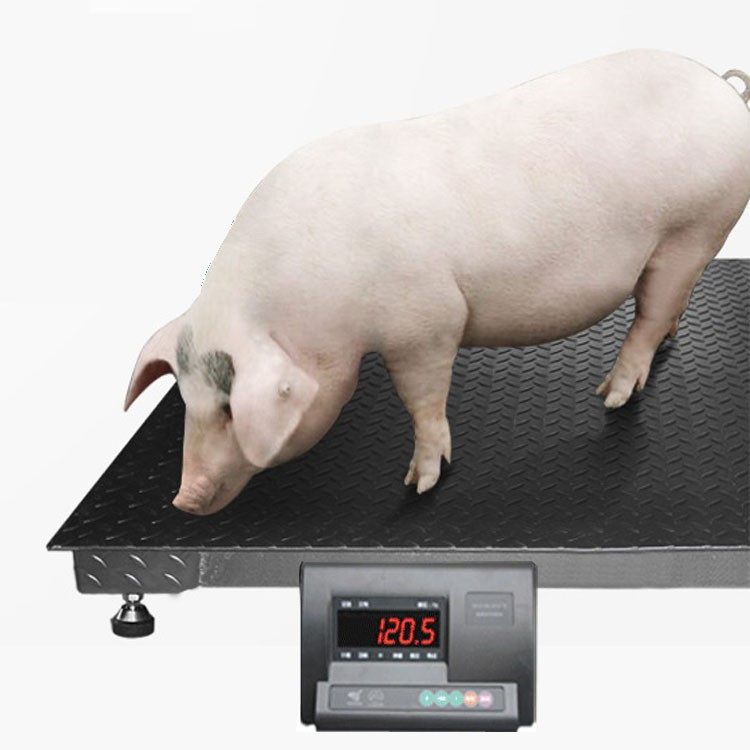 畜牧围栏磅秤小型工业地磅称1吨3吨5吨10t养殖称猪牛羊专用电子秤_双