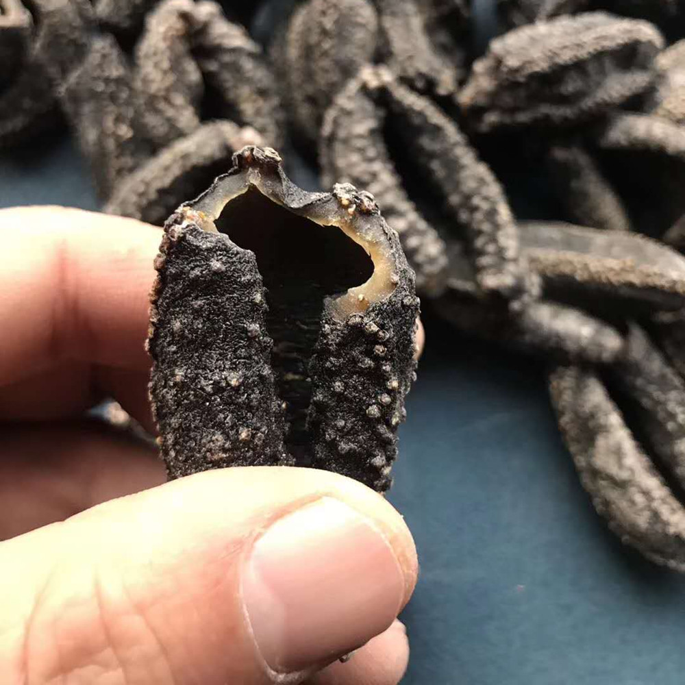 俄罗斯进口萨哈哈林野生茄参灯笼海参淡干原货海参