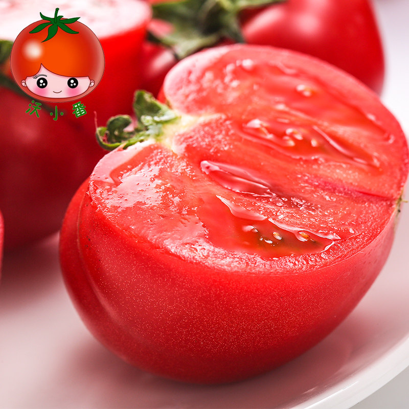 沃小番新鲜水果番茄农家自然熟西红柿孕妇水果